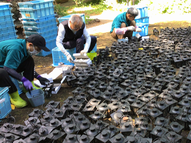 地域ホテルのランタン回収作業